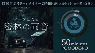 [50-minute Pomodoro] Concentrate with the sound of rain in the jungle!
