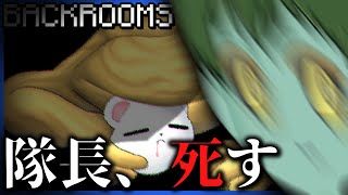 隊長ぉぉおおおおおおおお!!!!!!!!!!!!!!!!!!!【Escape the Backrooms】