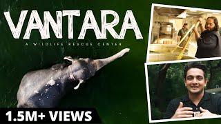 EXCLUSIVE Vlog - Anant Ambani's Vantara - Animals, Experiences & Emotions