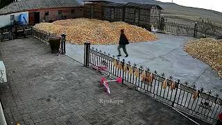 A compilation of amazing videos that I found on the internet #funny #fail #crazy