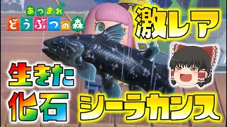 【あつ森】伝説の激レア魚！生きた化石シーラカンスを初ゲット！ゆっくり達のあつまれどうぶつの森 part10