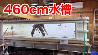 Cleaning a huge 460cm aquarium is so hard!