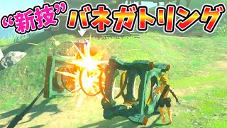 ハイラル式超高速パンチングマシンが楽しすぎるw【ティアキン TotK】裏技 バグ 検証 ゆっくり実況 glitch