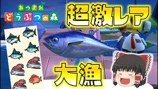 【あつ森】超激レア島！？大物高級魚を大量ゲット！！ゆっくり達のあつまれどうぶつの森 part8