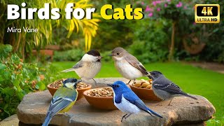 Birds in the Garden 🌿 Cat Entertainment Videos to Keep Your Cats Interested ✨ 8 Hours