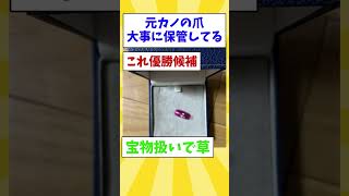 【2ch面白いスレ】家のあるもの晒して一番ヤバかったやつが優勝ｗｗｗｗｗｗ【ゆっくり解説】 #2ちゃんねる面白いスレ #ゆっくり #2ch