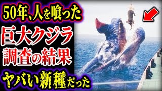 【ゆっくり解説】５０年間、人間を食い続けたヤバすぎる巨大クジラ...調査した結果、新種と判明…!!!【巨大生物】