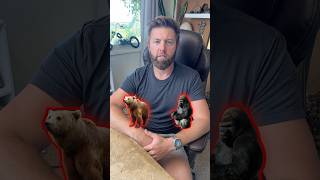 Which Animal Do You Want To Avoid in The Wild?