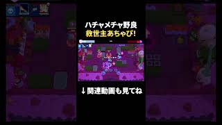 【ブロスタ】ハチャメチャな野良に大慌てのあちゃぴｗｗ #shorts