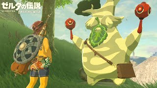 世界が絶賛した史上最高の神ゲー『 ゼルダの伝説 ブレス オブ ザ ワイルド 』#6