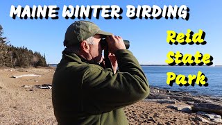 Winter Birding in Reid State Park