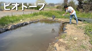I went looking around the biotope in spring to see what kind of creatures were there.