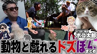 【実写】かわいい動物達と戯れるドズぼんまとめ！【ドズル社切り抜き】