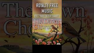 The Dawn Chorus Orchestral Track | Royalty Free Instrumental Music | Background Music for Video