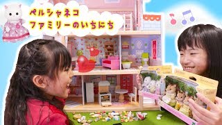 あきぽんとあちゃぴの劇場♪ペルシャネコファミリーのいちにち