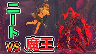 脱力リンクでガノンを倒せるか(ver1.0.0)【ティアキン TotK】裏技 バグ 検証 ゆっくり実況 glitch