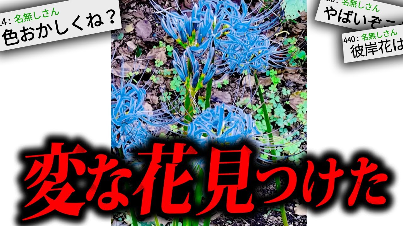 サムネ