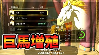 好きな馬を何体でも増殖できるバグ技(ver1.2.1)【ティアキン TotK】裏技 バグ 検証 ゆっくり実況 glitch