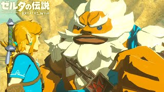 世界が絶賛した史上最高の神ゲー『 ゼルダの伝説 ブレス オブ ザ ワイルド 』#10