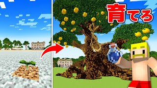 You can't finish until you grow a tree that bears gigantic golden apples! [Minecraft]