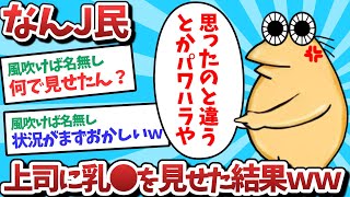 【悲報】なんJ民、上司に乳⚫️を見せてしまうｗｗｗ【2ch面白いスレ】【ゆっくり解説】