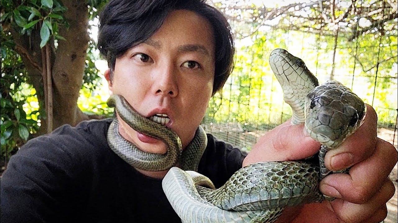 サムネ