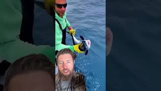 Man Catches Shark With His Bare Hands