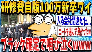 【2ch面白いスレ】新卒ワイ君、研修費100万円自腹で咽び泣くｗｗｗ【ゆっくり解説】