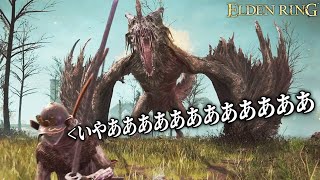 1ミリも知らない男が泣いた超高難易度の死にゲー｜ELDEN RING - エルデンリング - #２