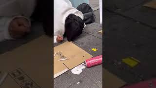 The scene of the Toyoko girl eating is disgusting. This is Japan
