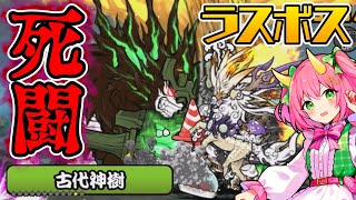 【にゃんこ大戦争】死闘！ラスボス戦！真レジェンドストーリー最終ステージ「古代神樹」を今こそクリアする時！ゆっくり実況 part56