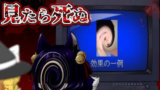 【ゆっくり実況】このテレビ番組を見たら死ぬ！？深夜のテレビに異常な番組が放送されてないか監視するゲームで死にまくりました！！【PSA】【たくっち】