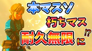 プロローグリンクなら全マスターソードの耐久値が無限になるらしい！？(ver1.0.0)【ティアキン TotK】裏技 バグ 検証 ゆっくり実況 glitch
