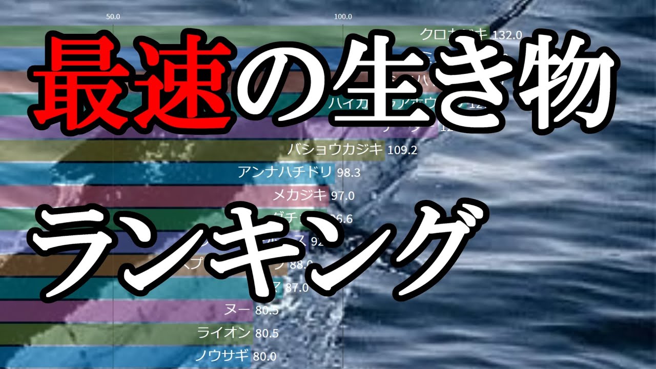 サムネ