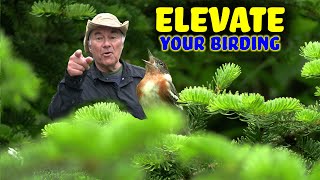 ELEVATION: The Birding Secret Behind This VERY Hot Spot