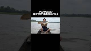Catching and eating a giant arowana deep in the Amazon! #shorts