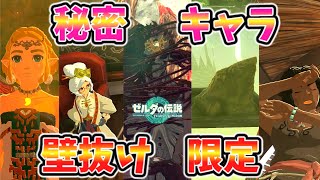 壁抜けでしか拝めない秘密キャラ＆アイテムまとめ【ティアキン TotK】裏技 バグ 検証 ゆっくり実況 glitch