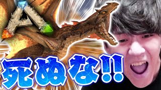 超高難度『ワイバーンの卵』を盗もうとした結果ｗｗｗ【ARKリメイク/焦土マップ】#8