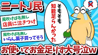 【悲報】ニートJ民、お使いができず母親を泣かせてしまうｗｗｗ【2ch面白いスレ】【ゆっくり解説】