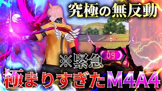 【緊急】完全に仕上がった無反動すぎるオレを見せます。【荒野行動】
