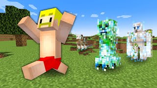【マイクラ】すべてのMOBが帯電する世界でサバイバル！
