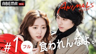 【1話フル】最悪の出会い、何か変わる予感...!?🐯💄新ドラマ【ANIMALS-アニマルズ-】毎週木曜22時アベマで放送中！