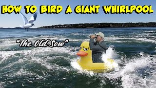 How to BIRD inside a GIANT WHIRLPOOL