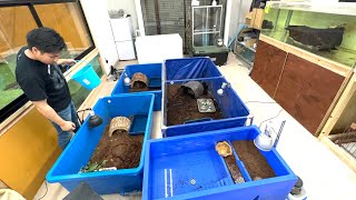 100匹以上の生き物を飼育するYouTuberの1日のルーティン