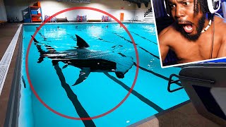 MY DEEPEST FEAR. There's a SHARK in the POOL [Sharks And Minnows]