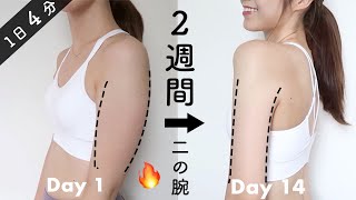 【二の腕痩せ】まだ間に合う!!2週間でタプタプの二の腕を引き締める4分間のトレーニング🔥【ダイエット】2 Weeks Toned Arms Workout