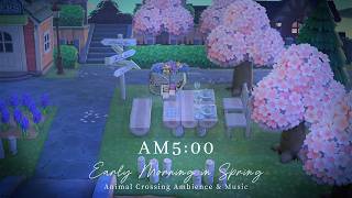 The peaceful dawn of a blooming island🌷 5:00 AM ACNH Spring Morning BGM & Nature Sounds🎧