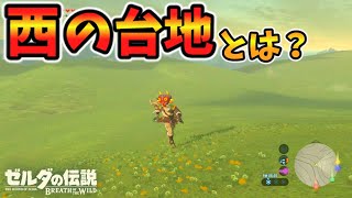 謎の西の台地に行けたので壁抜けしたり色々検証【ブレワイ BotW】裏技 バグ 検証 ゆっくり実況 glitch