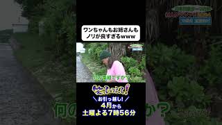 【ダーツの旅・笑コラスタッフ厳選】2024年12月25日放送 クリスマスSP日本列島ダーツの旅「村人グランプリ2024西日本Part1」沖縄県渡嘉敷村編