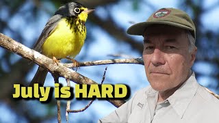July Birding in Maine is TOUGH!